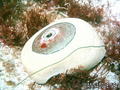 foto de buceo