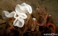 foto de buceo