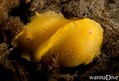 foto de buceo