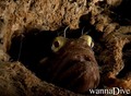 foto de buceo