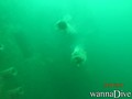 foto de buceo