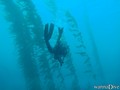 foto de buceo