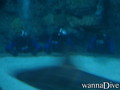 foto de buceo