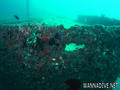 foto de buceo