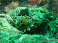 foto de buceo