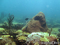 foto de buceo