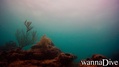 foto de buceo
