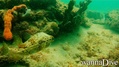 foto de buceo