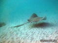 foto de buceo