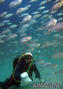 foto de buceo
