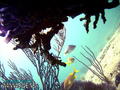 foto de buceo