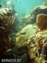 foto de buceo