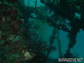 foto de buceo