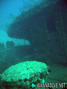 foto de buceo