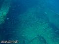 foto de buceo