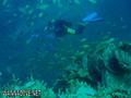 foto de buceo