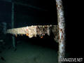 foto de buceo