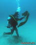 foto de buceo
