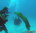 foto de buceo
