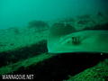foto de buceo