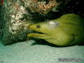 foto de buceo