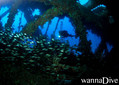 foto de buceo