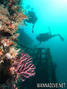 foto de buceo