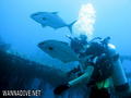 foto de buceo