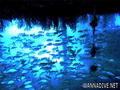 foto de buceo