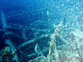 foto de buceo