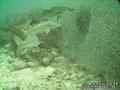 foto de buceo