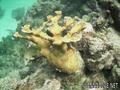 foto de buceo