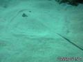 foto de buceo
