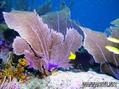 foto de buceo
