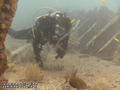 foto de buceo
