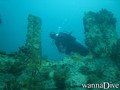 foto de buceo