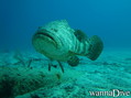 foto de buceo