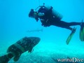 foto de buceo
