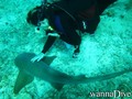 foto de buceo