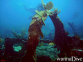 foto de buceo