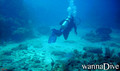 foto de buceo
