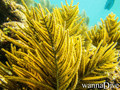 foto de buceo