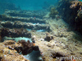 foto de buceo