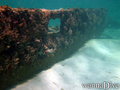 foto de buceo
