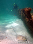 foto de buceo