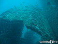foto de buceo
