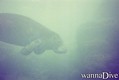 foto de buceo