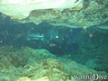foto de buceo