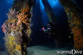 foto de buceo
