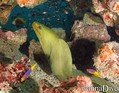 foto de buceo